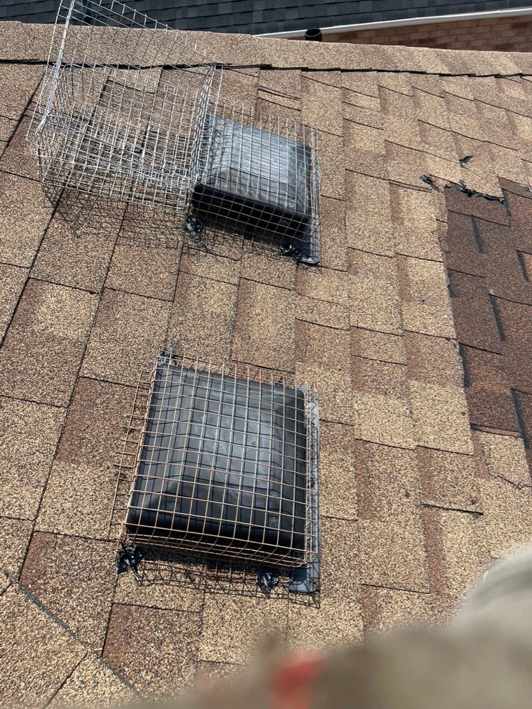 Squirrel Control Prevention Services on Roof Vent