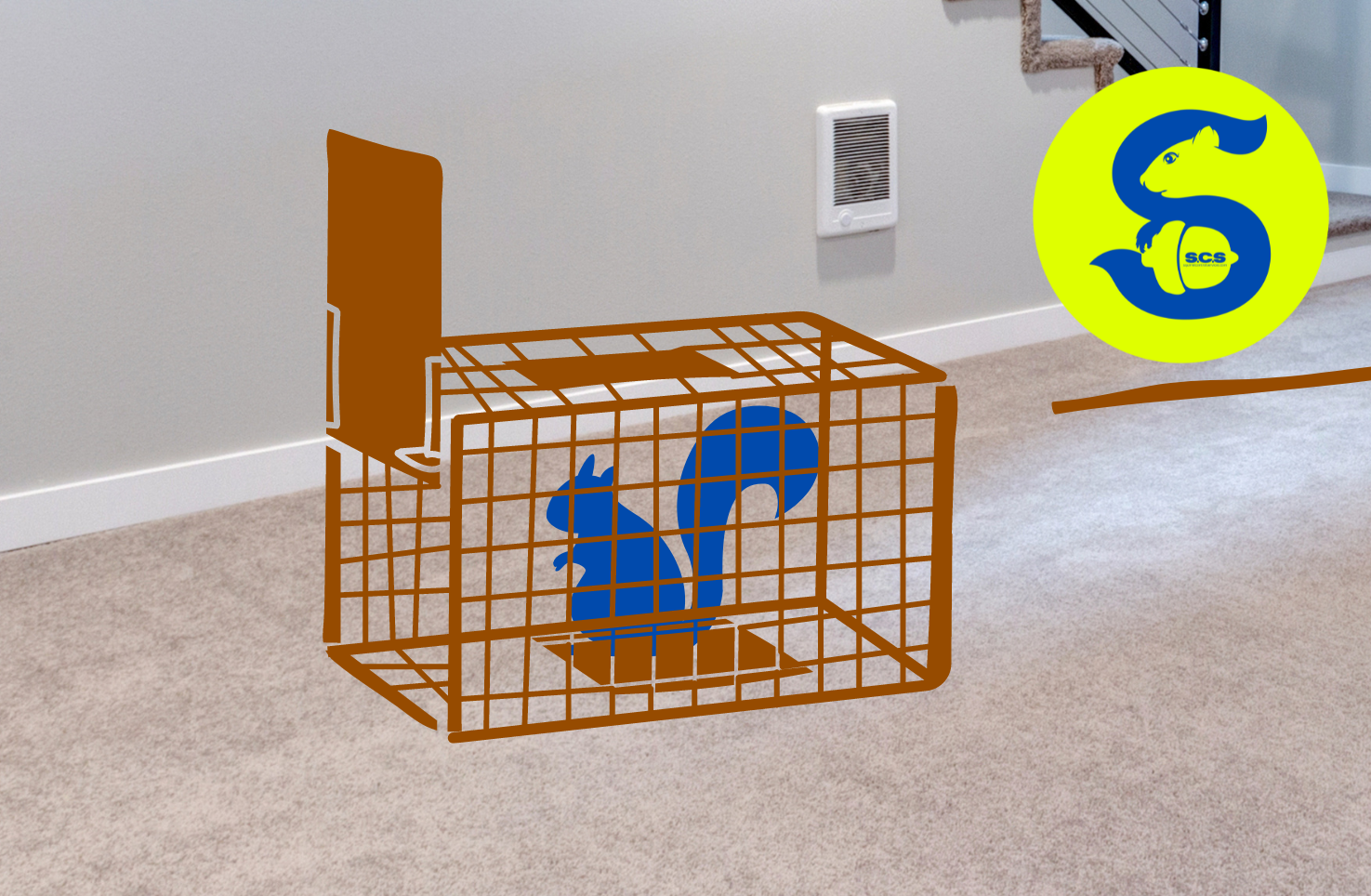 How To Catch A Squirrel In Your House