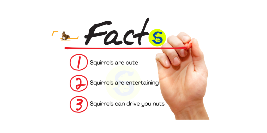 Squirrel Facts, Squirrel Control Services