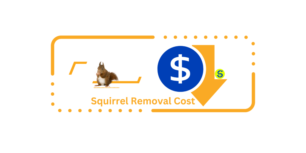 Squirrel Squirrel Removal Cost, Squirrel Control Services Toronto Pricing Cost