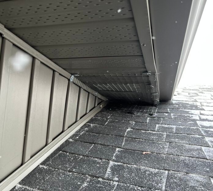 Squirrel Control Soffit protection