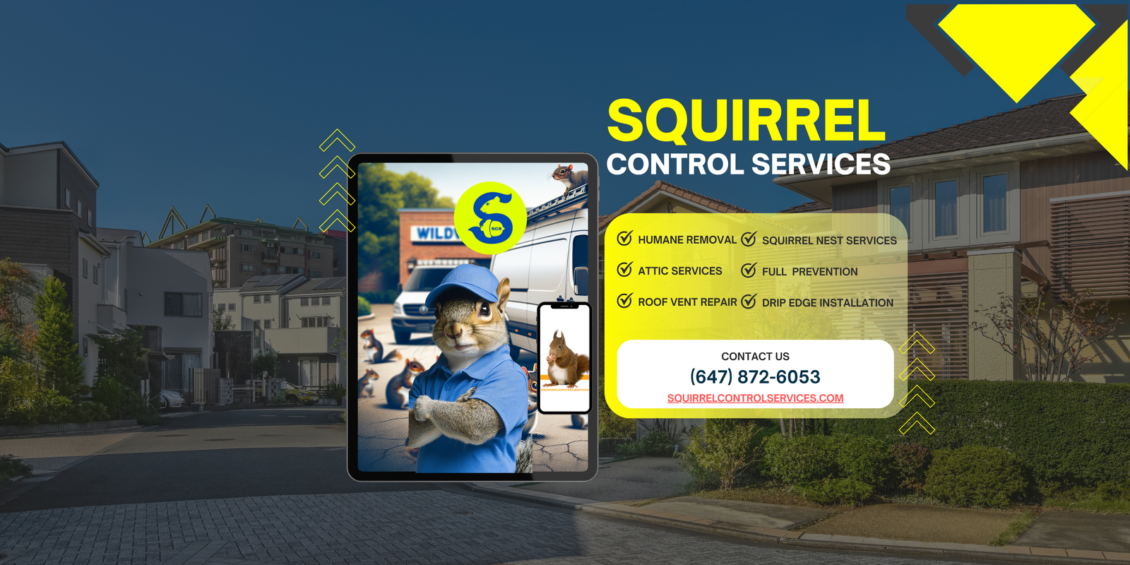  Squirrel Control Services